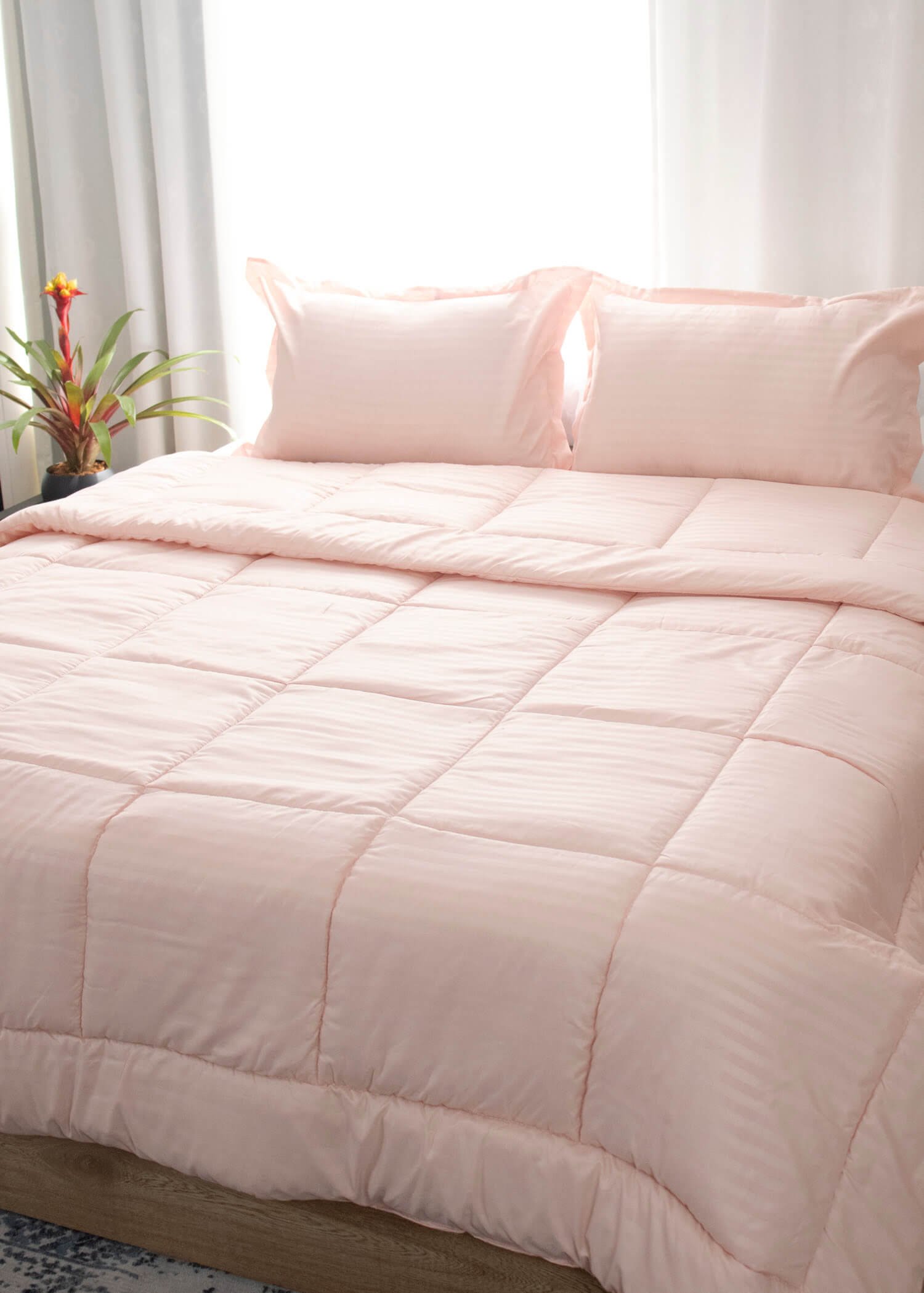 Conforter_Rose_3.jpg Conforter_Rose_3.jpg