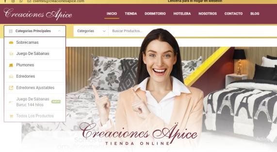 artículo-sitio-web__